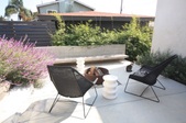 Enlarge photo 60