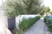 Enlarge photo 90