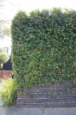 Enlarge photo 2