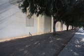 Enlarge photo 41
