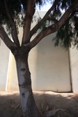 Enlarge photo 42