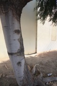 Enlarge photo 43