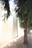 Enlarge photo 44