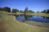 Enlarge photo 33