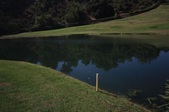 Enlarge photo 50
