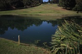 Enlarge photo 51