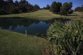 Enlarge photo 52