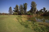 Enlarge photo 53