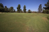 Enlarge photo 54