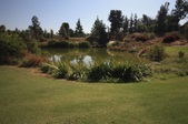 Enlarge photo 61