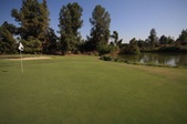 PP Golf