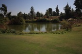 Enlarge photo 75