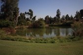 Enlarge photo 77
