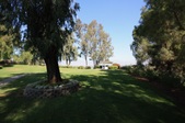 Enlarge photo 78