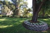Enlarge photo 79