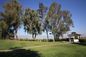 Enlarge photo 80