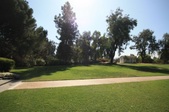 Enlarge photo 84