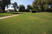 Enlarge photo 85