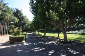 Enlarge photo 95