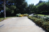 Enlarge photo 97