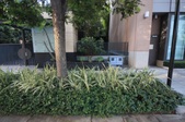 Enlarge photo 31