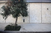 Enlarge photo 44