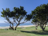 Enlarge photo 39