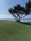 Enlarge photo 40
