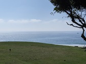 Enlarge photo 42