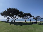 Enlarge photo 43