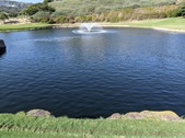 Enlarge photo 87