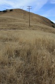 Enlarge photo 1