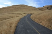 Enlarge photo 35