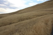 Enlarge photo 36