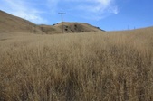 Enlarge photo 39