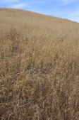 Enlarge photo 41