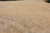 Enlarge photo 42