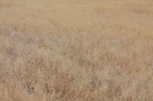 Enlarge photo 46