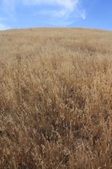 Enlarge photo 43