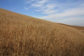 Joughin Ranch