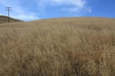 Enlarge photo 45
