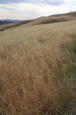 Enlarge photo 49