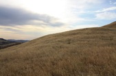Enlarge photo 48