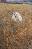 Enlarge photo 53