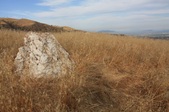 Enlarge photo 54