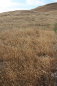 Enlarge photo 55
