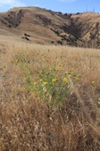 Enlarge photo 58