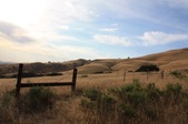 Enlarge photo 57