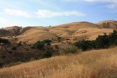 Enlarge photo 62