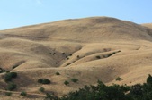 Enlarge photo 61
